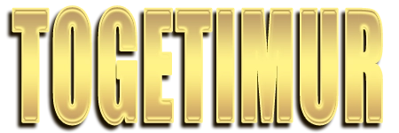 Logo TOGETIMUR